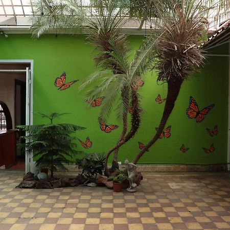 סן חוזה Casa Mayela Guest House מראה חיצוני תמונה