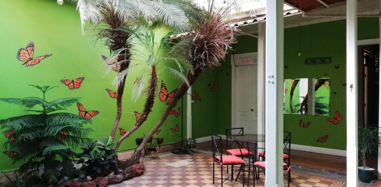 סן חוזה Casa Mayela Guest House מראה חיצוני תמונה