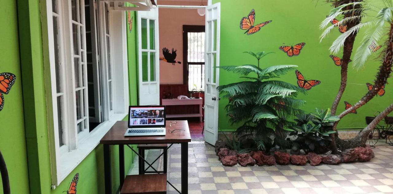 סן חוזה Casa Mayela Guest House מראה חיצוני תמונה