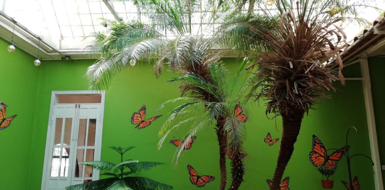 סן חוזה Casa Mayela Guest House מראה חיצוני תמונה