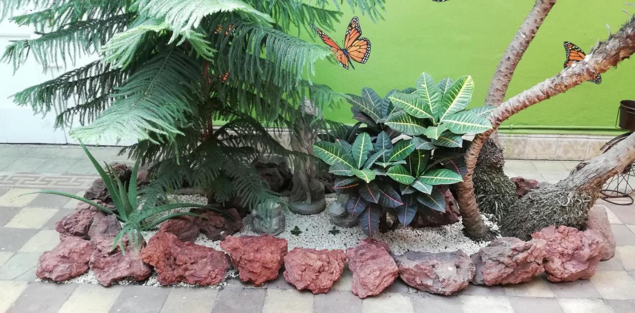 סן חוזה Casa Mayela Guest House מראה חיצוני תמונה