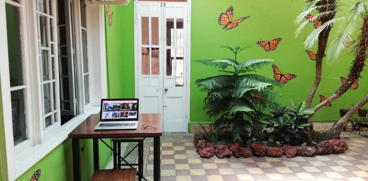 סן חוזה Casa Mayela Guest House מראה חיצוני תמונה
