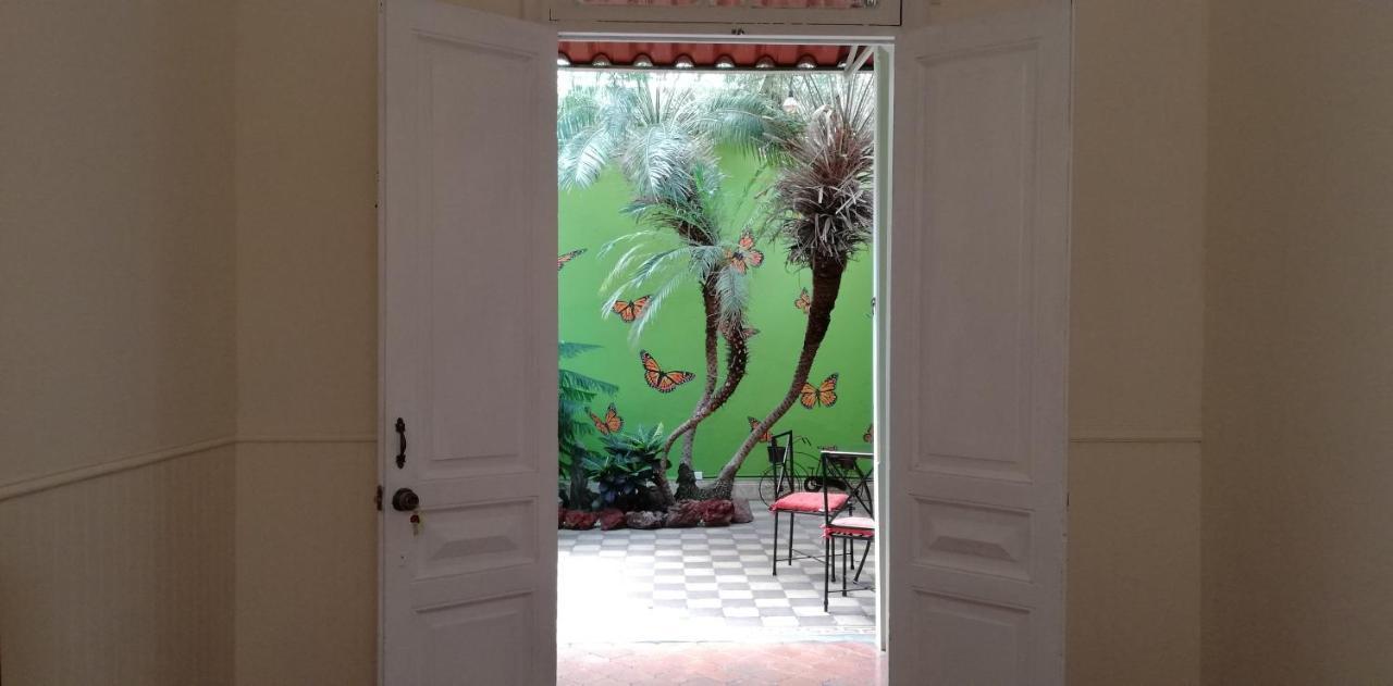 סן חוזה Casa Mayela Guest House מראה חיצוני תמונה